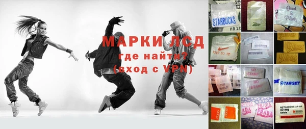 сатива Абинск