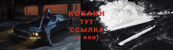 сатива Абинск