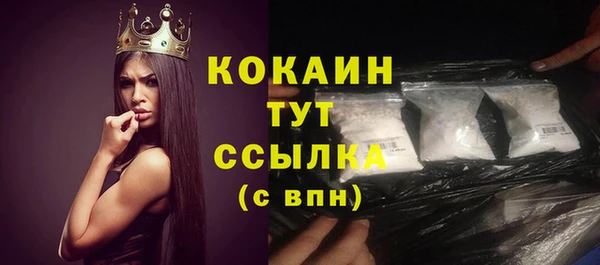 сатива Абинск