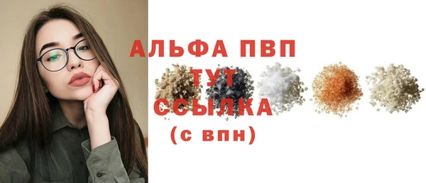 сатива Абинск