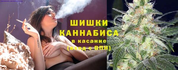 сатива Абинск